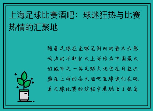 上海足球比赛酒吧：球迷狂热与比赛热情的汇聚地